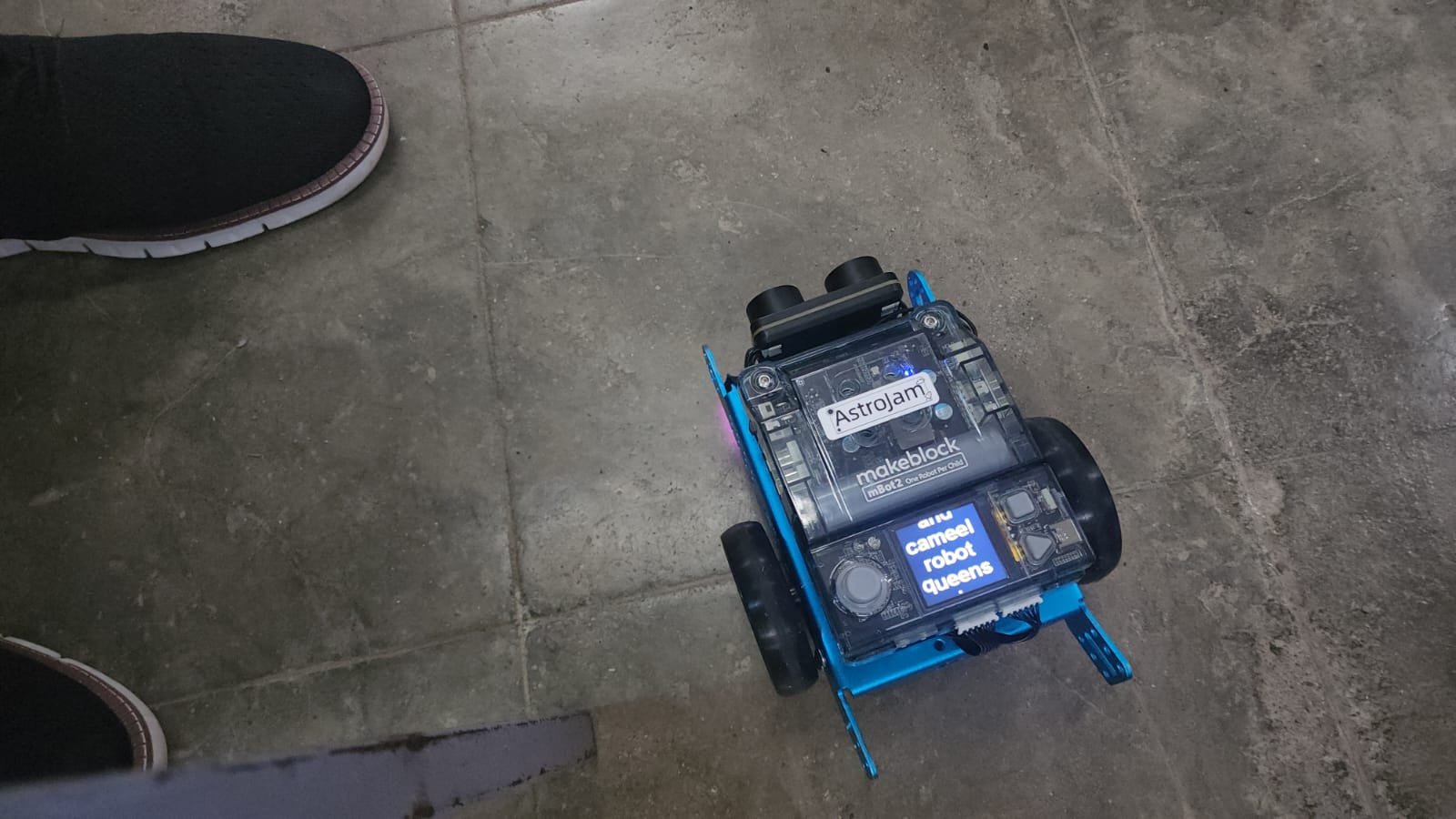 Bloomfield Primary workshop photo 6